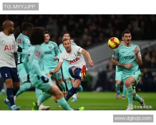 光荣与阿德莱德的对决谁能在这场较量中脱颖而出